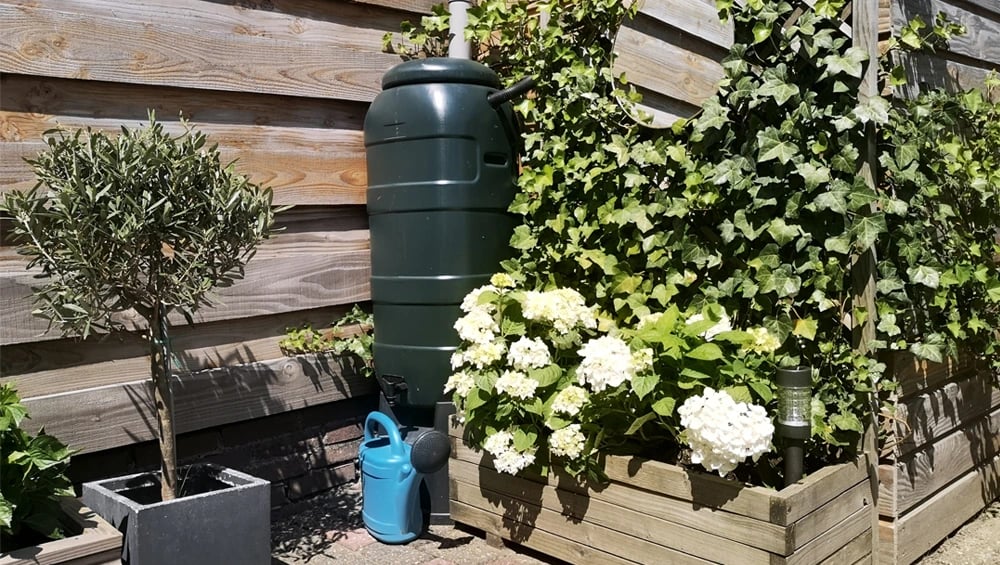 Composting Workshop 1